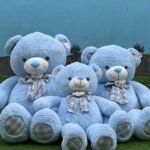 Ours en Peluches Géante Bleu